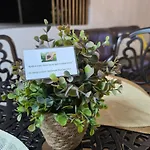 Apartment Be Loved By Earth Ponta Delgada (Sao Miguel)
