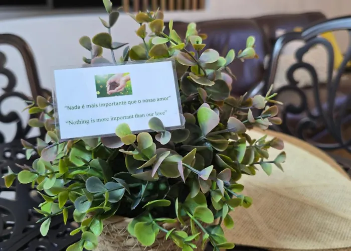 Apartamento Be Loved By Earth Ponta Delgada